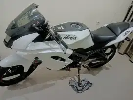 Kawasaki Ninja RR New