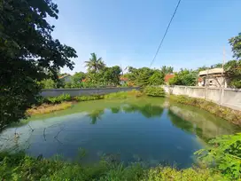 Di jual Tanah murah sudah di lengkapi Kandang Ayam di Putat Nutug