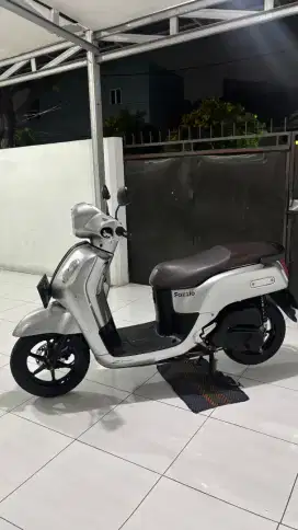Fazzio 2023 Silver