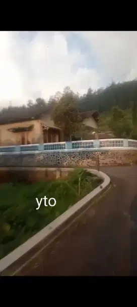 Jual tanah pekarangan lokasi kemuning lt 105mtr hrg 170jt nego