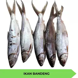 Aneka Frozen Foods Fresh, High Quality, Halal & MURAH