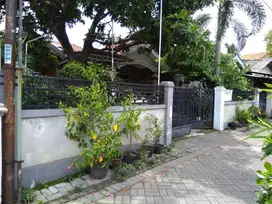 MURAH PETEMON SIDOMULYO SURABAYA PUSAT