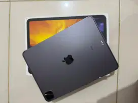 Ipad Pro 11” Gen 2nd 256gb Mulus