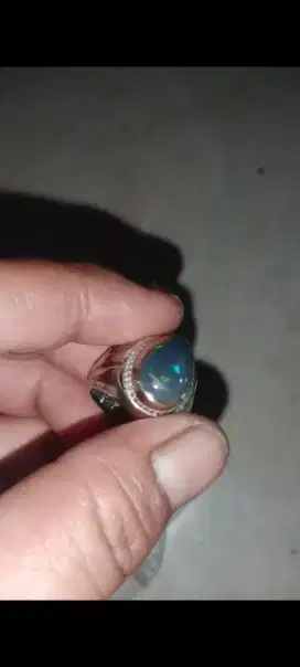 Kalimy jarong super 1