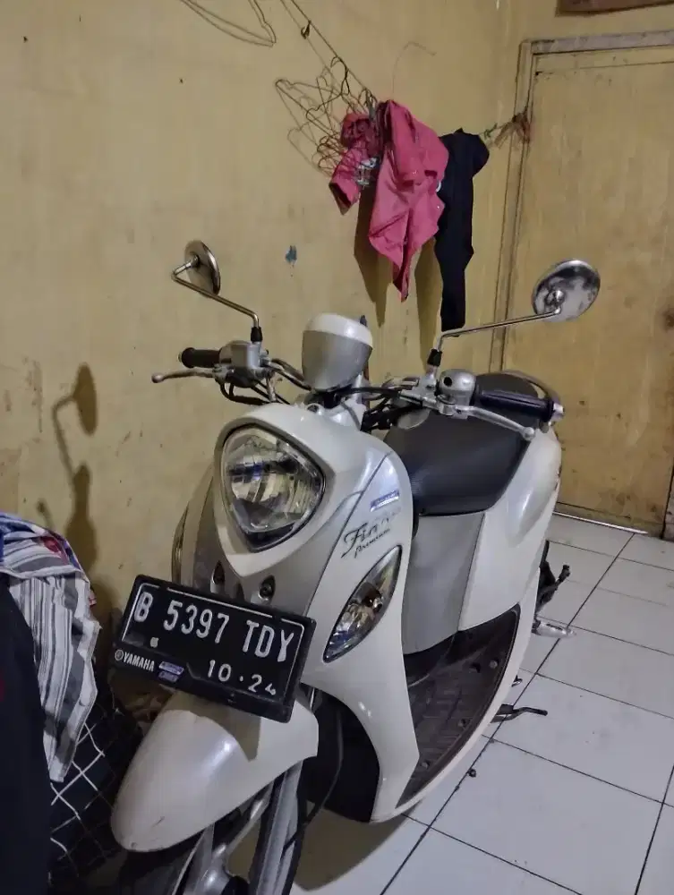 Fino 2019 white