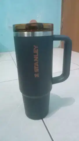 Tumbler Stanley