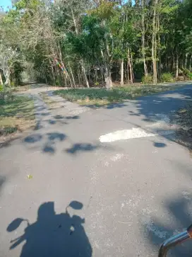 Tanah murah Jogya barat  an sdri di Sidorejo Lendah kuionprogo