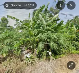 JUAL KAVLING MURAH  UNTUK RUMAH DAN UNTUK TOKO