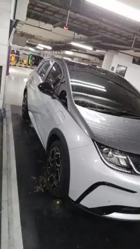 BYD DOLPHIN PREMIUM 2024