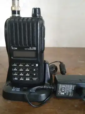 HT icom V80 VHF mulus