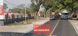 (L) Tanah LD 101 mtr, NOL Jalan Raya Propinsi, Caruban MADIUN Joss