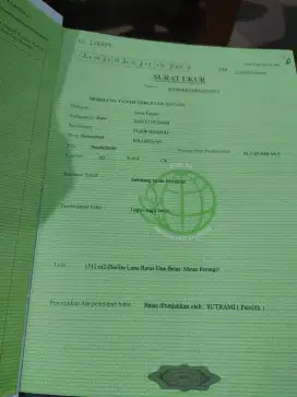 DI JUAL LAHAN KEBUN DI PURWOHARJO BANYUWANGI