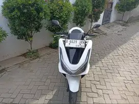 Honda PCX 160 2025 Pajak Panjang - Maulana Motor
