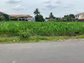 Tanah bagus akses jalan lebar di Simalingkar Medan