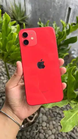 Iphone 12 128gb red edition ibox