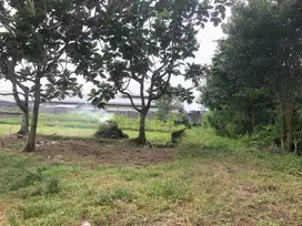 Dekat Pasar Rejodani dan Hotel Hyatt Kavling Siap Bangun-SHMP