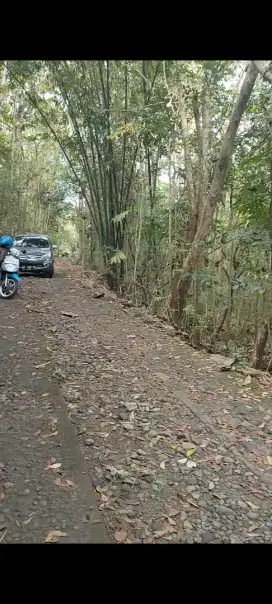DIJUAL MURAH Tanah Girimulyo Kulonprogo Yogyakarta