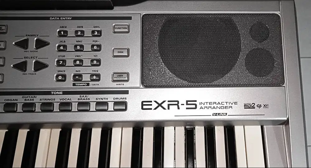 Roland EXR-5 (+usb)