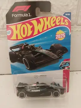 Hotwheels Mercedes-AMG Petronas F1