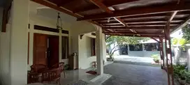 Rumah Besar Halaman Luas Dan Usaha Kost2an