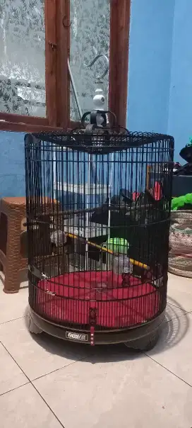 Kandang murai No 2 Merk F1
