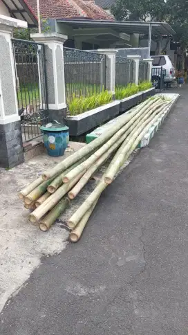 Bambu 15 lonjor baru
