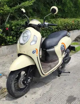 Scoopy 2021 Pajak Panjang sampai tahun depan Mar26