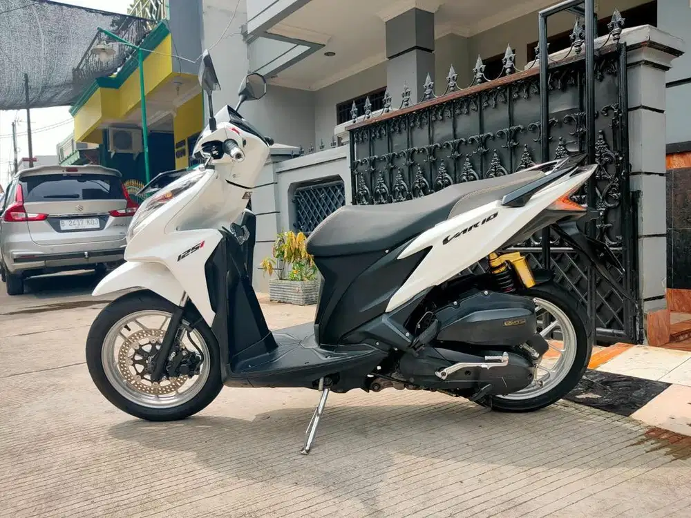 Motor Vario KZR 2013