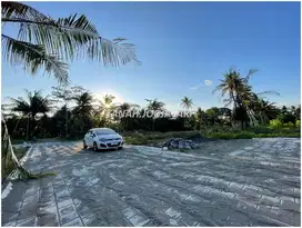 Dekat Alun-Alun Wates, Tanah Jogja Barat Murah SHM, 3 menit Kampus UAD
