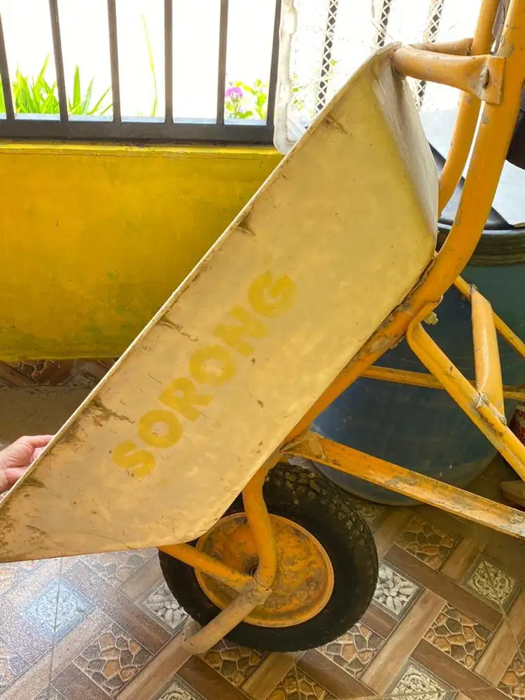Lory Sorong Fiber