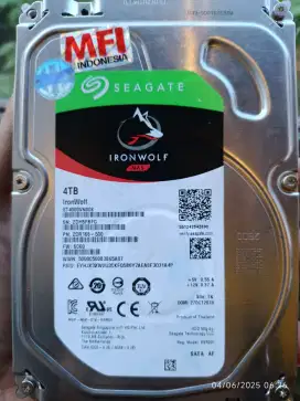HDD SEAGATE IRONWOLF NAS 4 TB