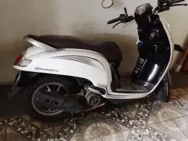 Scoopy donat 2018