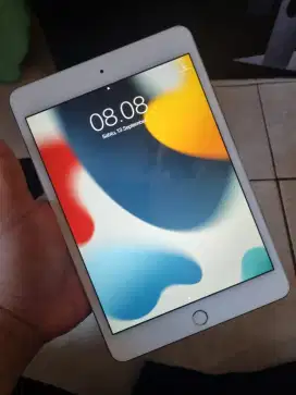 JUAL Ipad Mini 4 64 gb Wifi Only