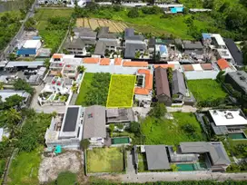 Jual Tanah 4 Are di Tumbak BAYUH Pererenan
