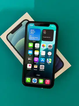 Iphone 12 , 256gb (beacukai)