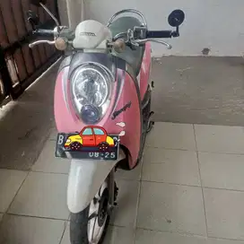 Scoopy pinky 2010