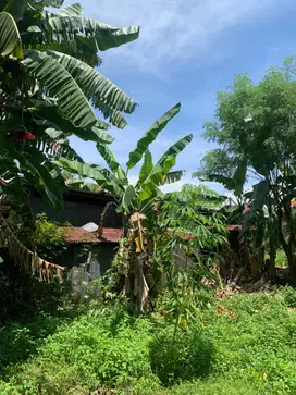 Dijual Lahan Strategis Ujungberung – Ideal Hunian & Bisnis
