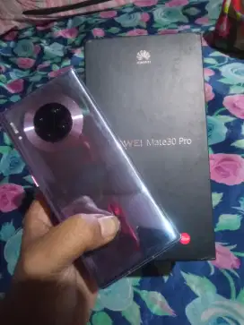 HUAWEI MATE 30 PRO LCD GANTIAN