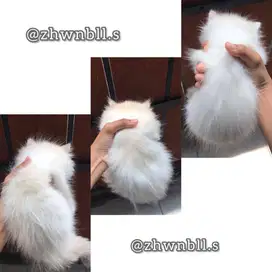 Open Adopt Ragdoll Cat