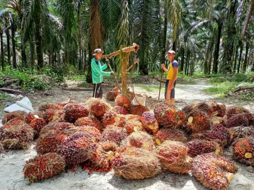 Lowongan kerja!!!