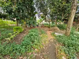 Tanah Pedesaan di Gunung Sindur, Tenang dan Damai