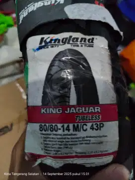 Ban kingland jaguar 80/80 14 like new
