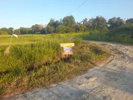 Dijual Cepat Tanah Kavling Panlegur Pamekasan