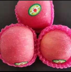 Apel segar & fresh
