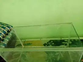 Aquarium  Bekas