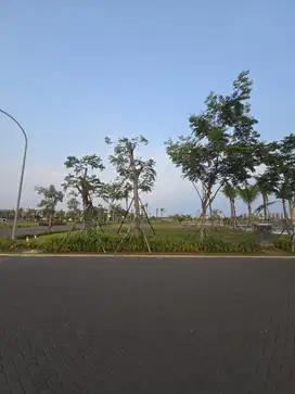 Kavling Exclusive di Pasir Putih PIK 2