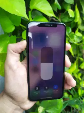 iphone xs 256gb inter