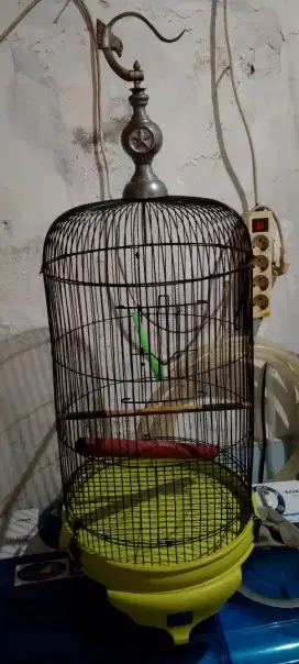 Jual Kandang Burung Ukuran LB,