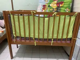 Dipan anak semi jati