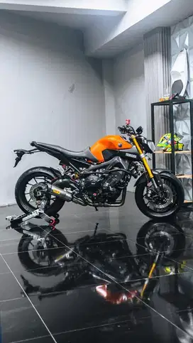 MT 09 2015 Rare Colour
